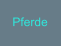 Pferde