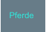 Pferde